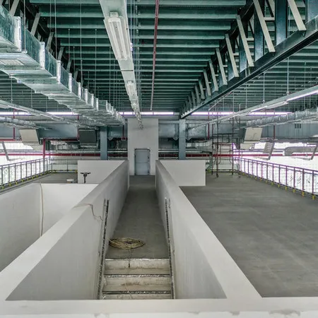 52747 diecast collection care